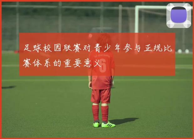 足球校园联赛对青少年参与正规比赛体系的重要意义
