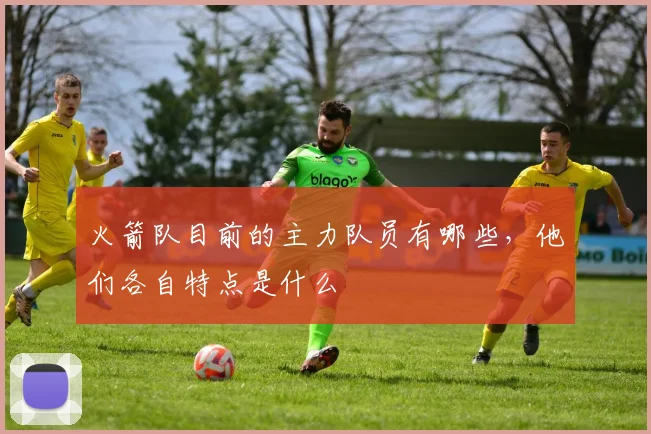 火箭队目前的主力队员有哪些，他们各自特点是什么