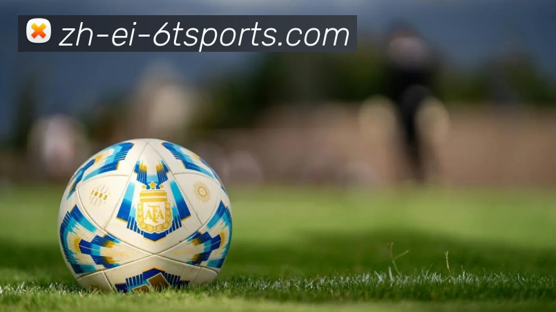 6T体育平台生态图